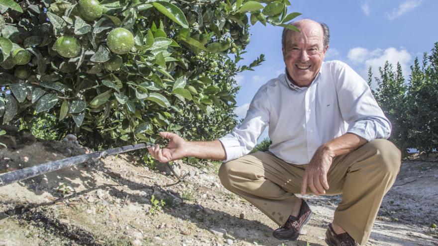 El valenciano que da agua al rey de Marruecos