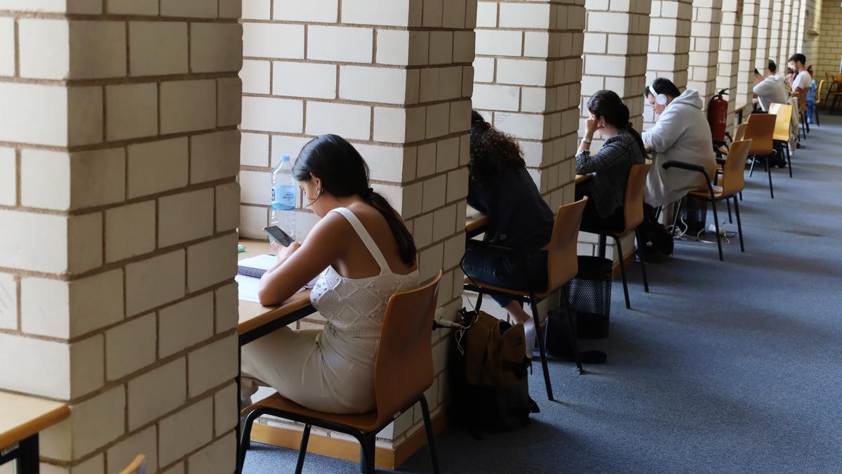 Alumnos estudiando en la biblioteca de la UJI.