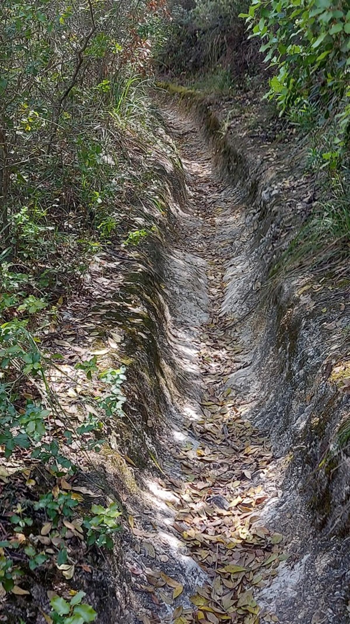 Ein vom Regenwasser ausgehöhlter Waldweg führt Richtung Steinbruch Son Quint.