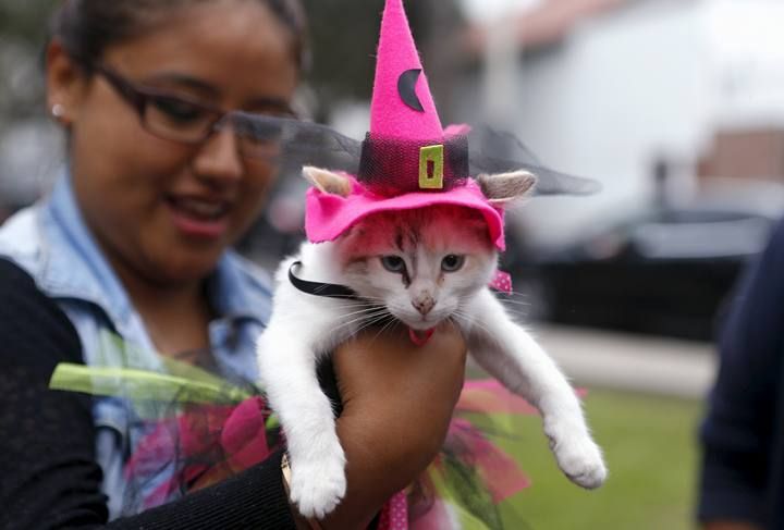 Los Ángeles, Nueva York, México, Lima, Hong Kong, Londres... Los disfraces de Halloween han tomado las calles de muchas ciudades