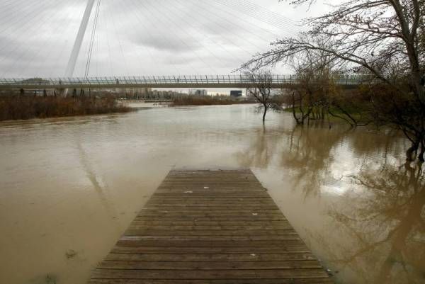 Fotogalería: Crecida en el río Ebro