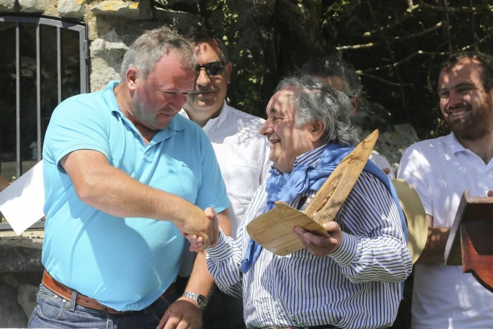 Fiesta del Asturcón en El Sueve