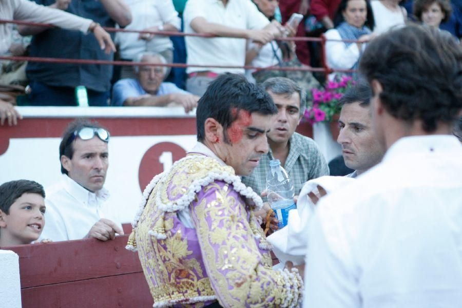 Toros en Zamora