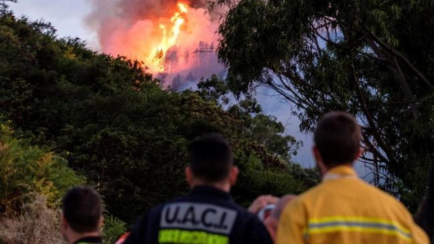 El fuego en Gran Canaria obliga a desalojar a miles de personas