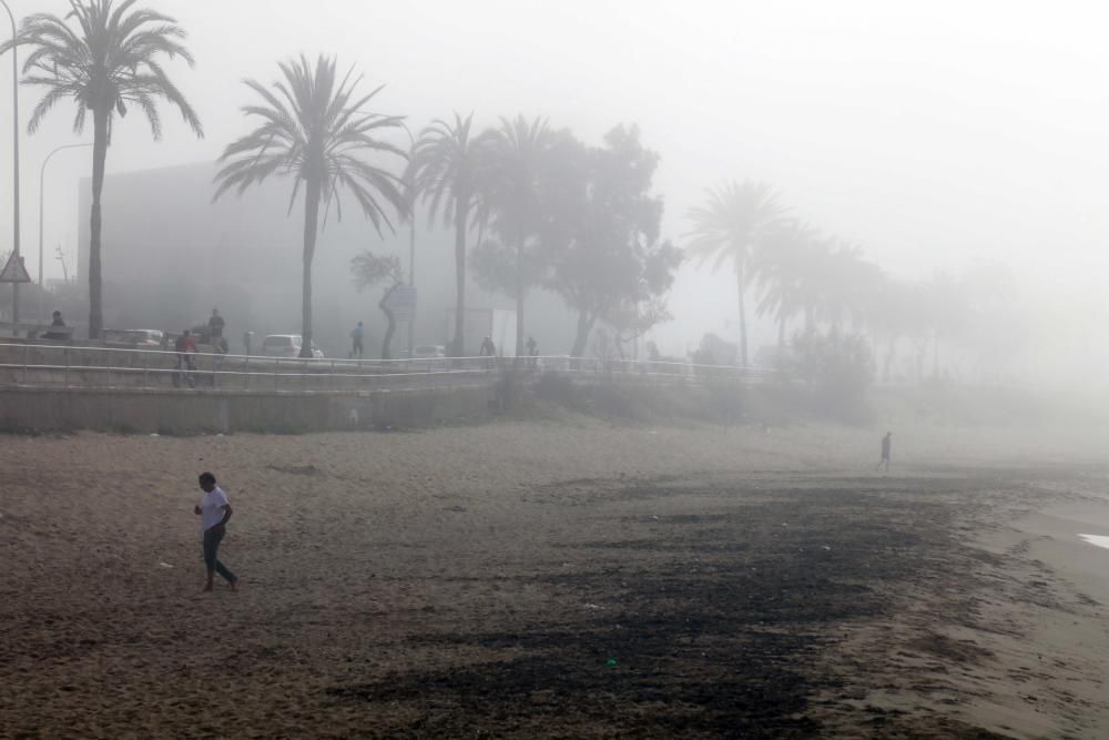 La niebla reaparece en Palma