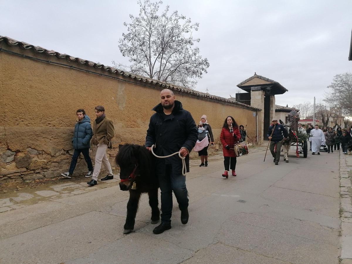 GALERÍA | San Antón procesiona por primera vez en Toro