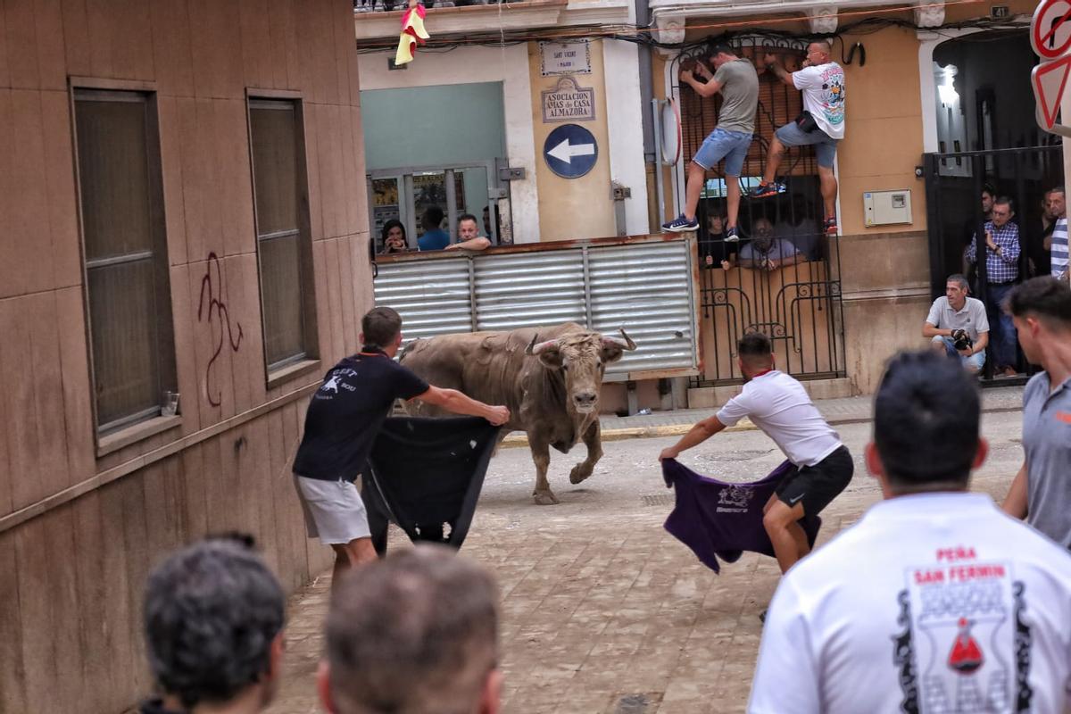 Los aficionados guiaron a los toros por las calles de Almassora.