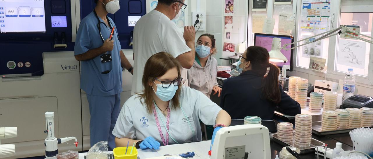 Laboratorio de Microbiología del Hospital General de Castelló.