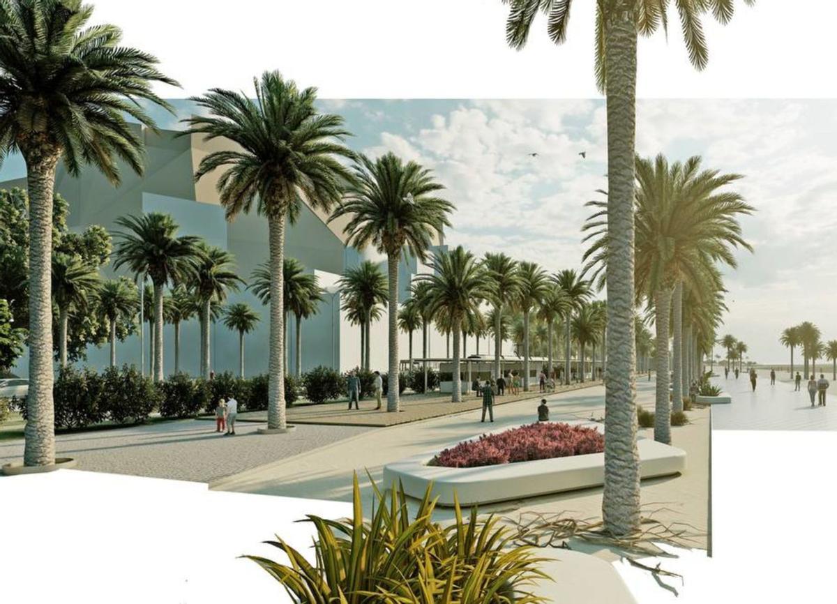 El plan director, en el que se debe basar la redacción del proyecto, busca espacios renaturalizados, con vegetación autóctona.  | INFORMACIÓN