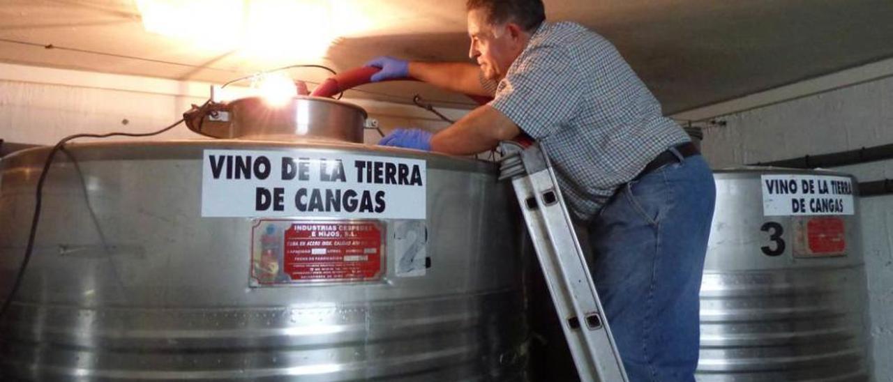 Antón Chicote, ayer, remontando el vino en su bodega canguesa.