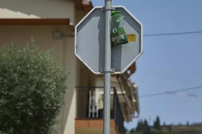 Les imatges del polígon industrial on s'ha detectat una plaga de mosques a Hostalric