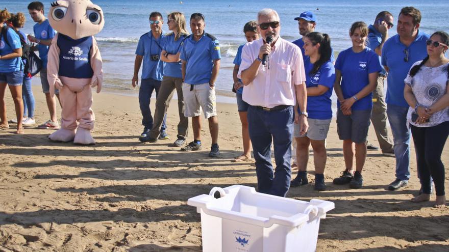 Suelta de tortugas en la playa de La Mata de Torrevieja