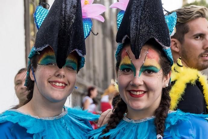 Carnaval 2019 | Carnaval de Día de Vegueta