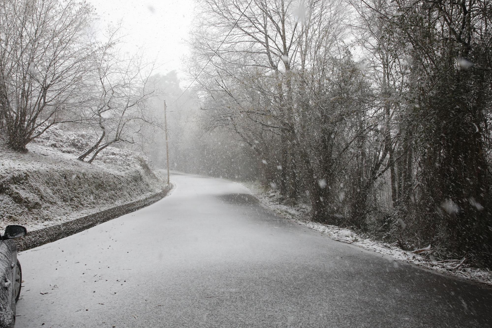 En imágenes: La borrasca Juliette llena de nieve parte de la zona rural de Gijón