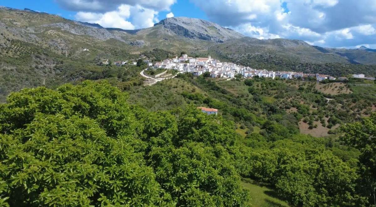 Este es el sendero rural que une dos pueblos con encanto de toda Málaga