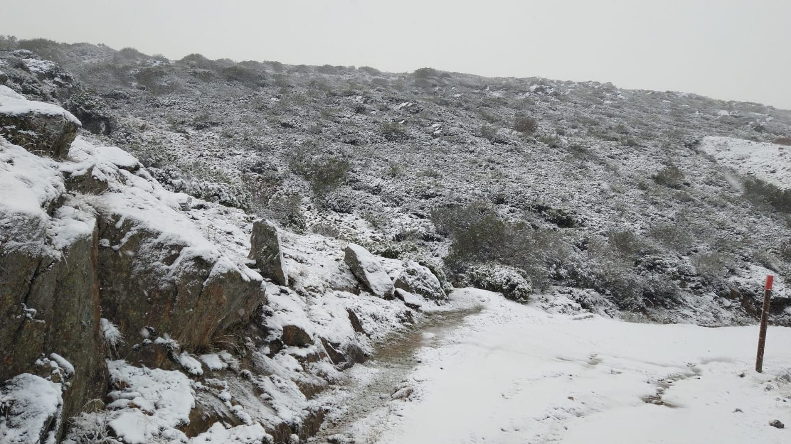 La nieve vuelve a teñir de blanco las cumbres de la Sierra Segundera.