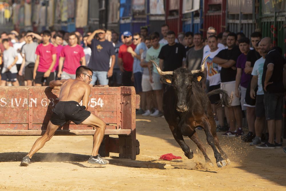 Actos taurinos en las fiestas de Sagunt.