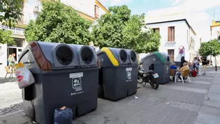PSOE critica el "fiasco" del Ayuntamiento con el 'renting' de los contenedores de Córdoba