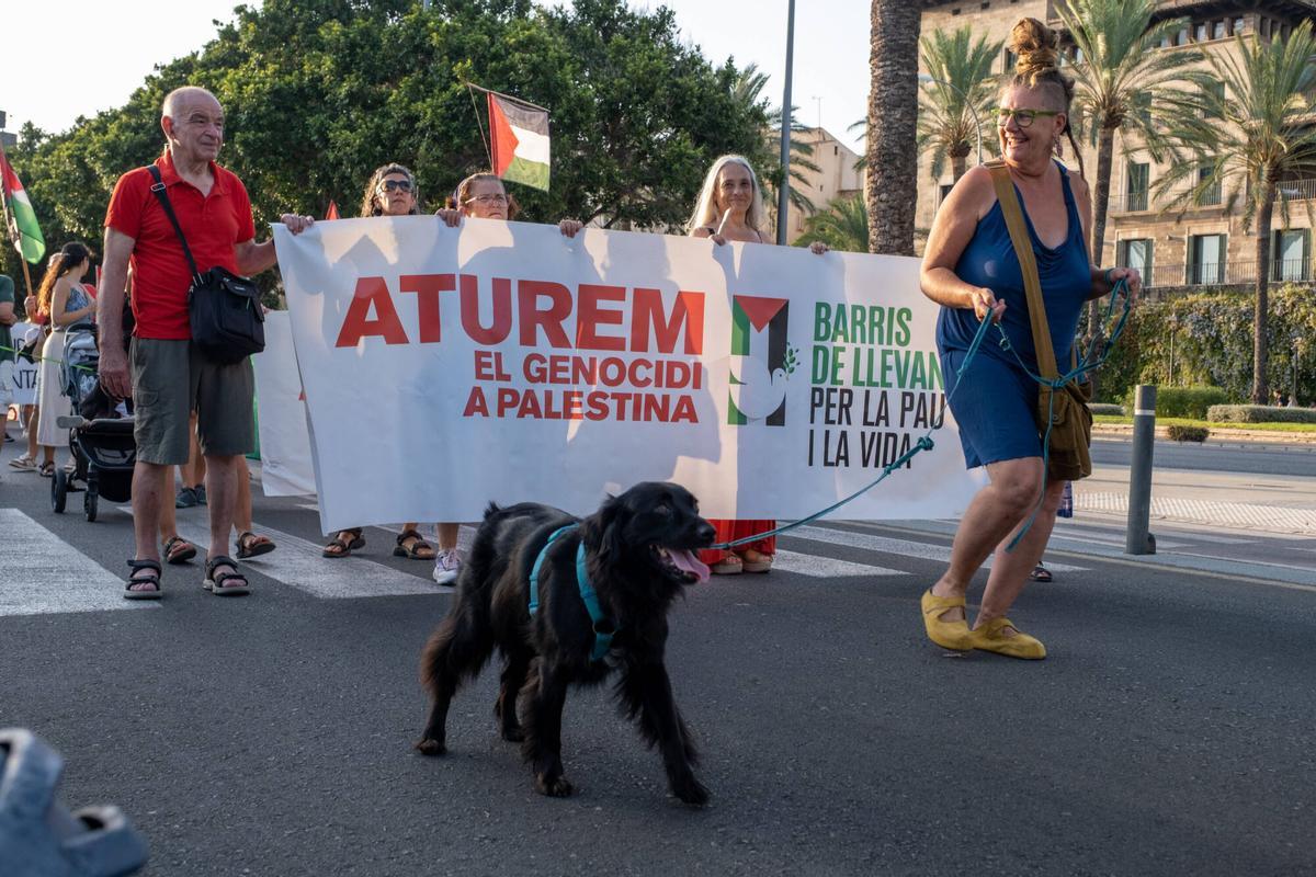 Manifestación en apoyo a Gaza y al pueblo palestino en Palma el viernes 31 de julio de 2026.