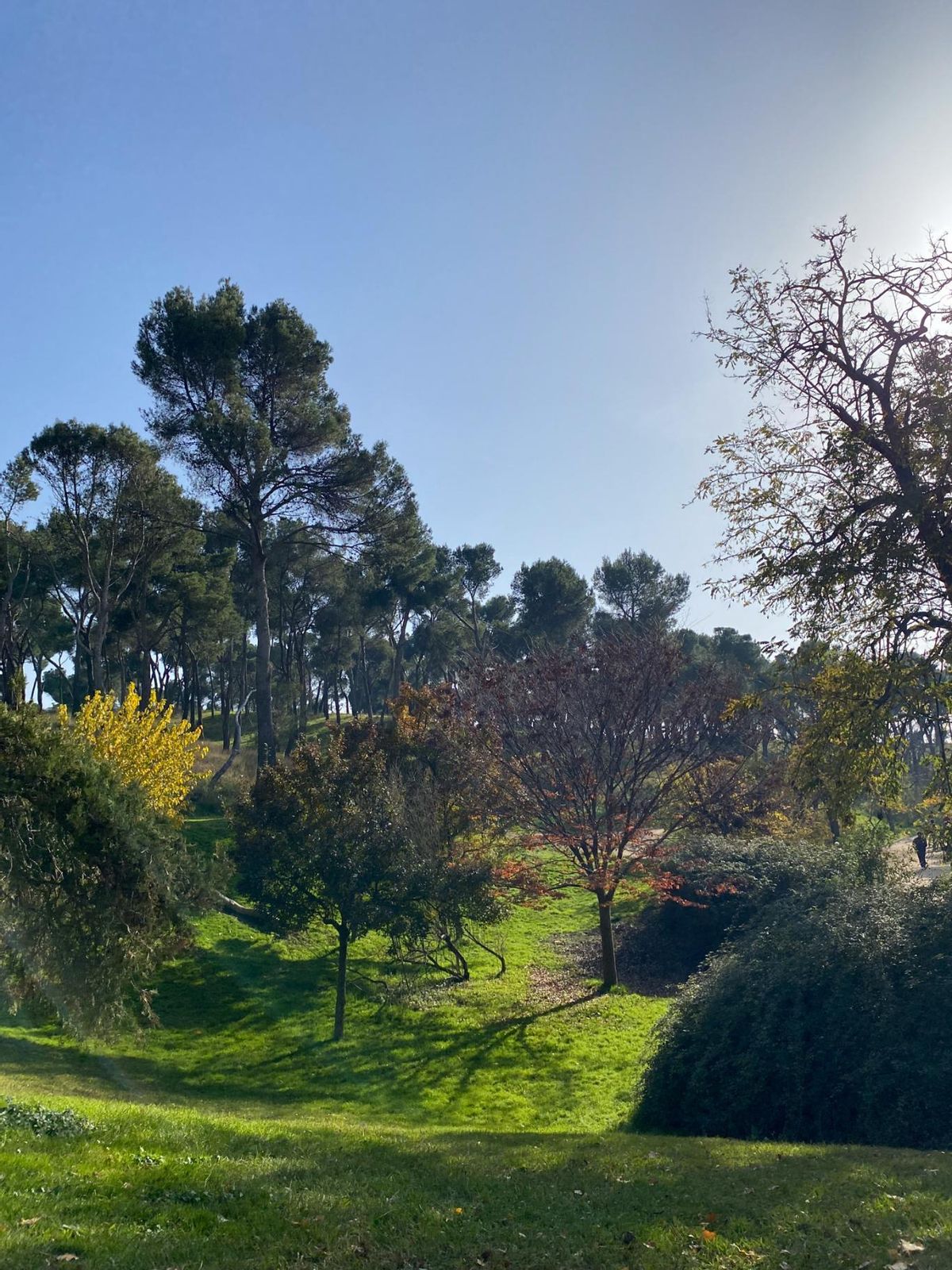 Dehesa de la Villa (Moncloa-Aravaca).