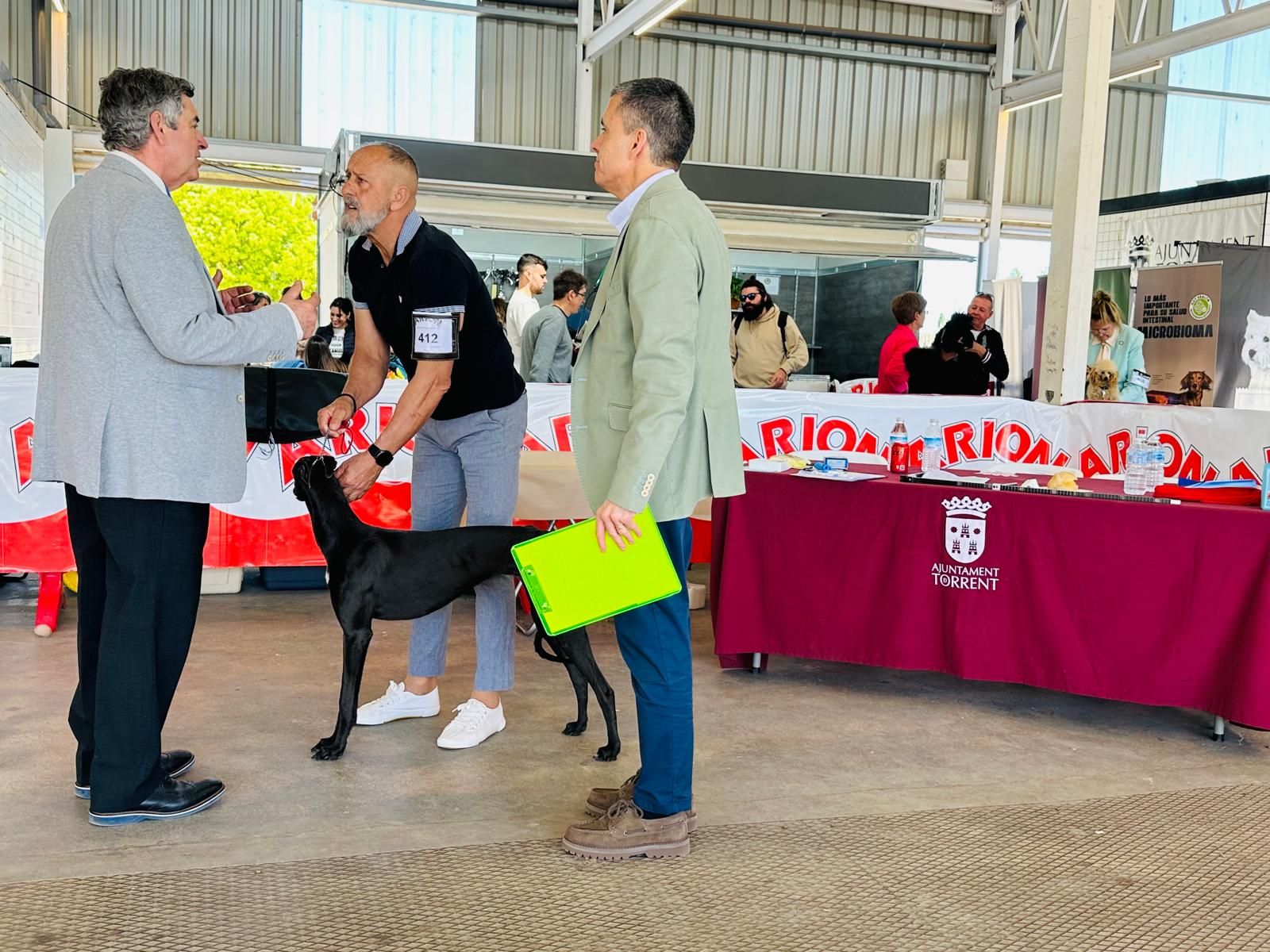 Más de 500 mascotas participan en la primera jornada del Concurso Internacional Canino en Torrent