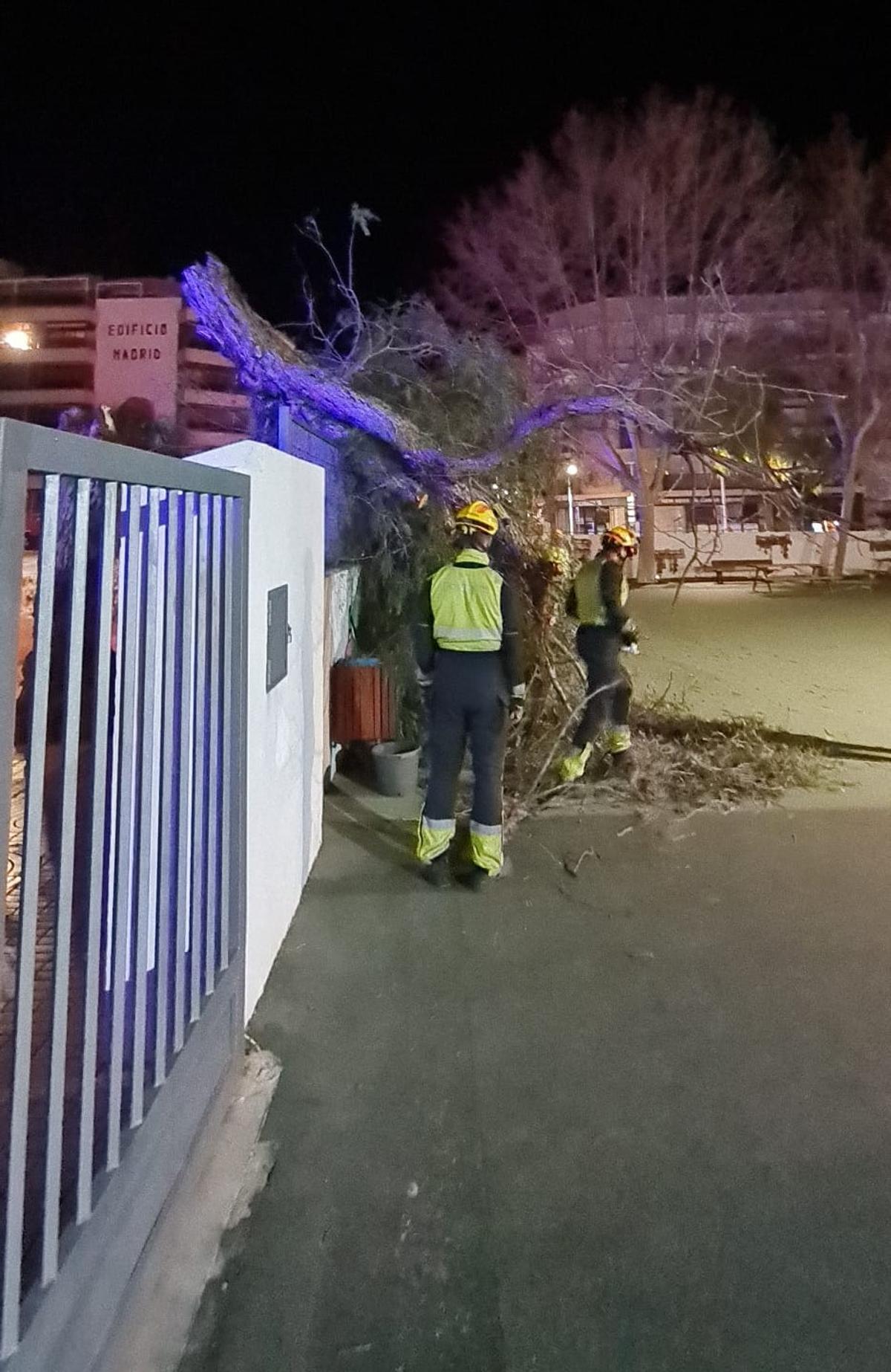 Árbol que se ha desplomado sobre el muro del colegio Port de Xàbia