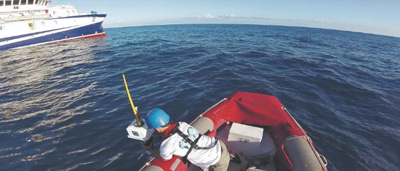 Un investigador del Instituto Español de Oceanografía (IEO).