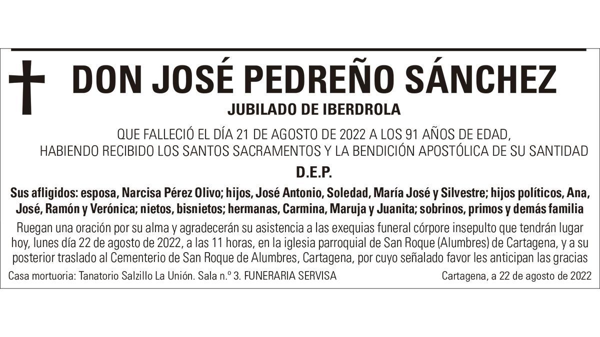 D. José Pedreño Sánchez
