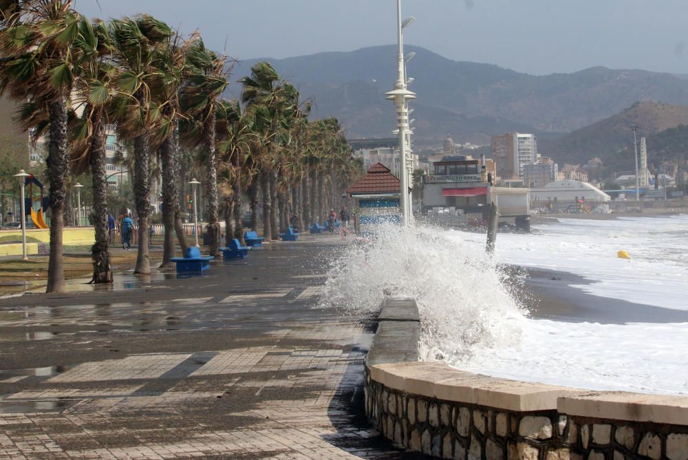 Málaga capital vive una jornada marcada por el fuerte viento, que ha afectado a playas y paseos marítimos y ha obligado a cortas las comunicaciones marítimas con Melilla.