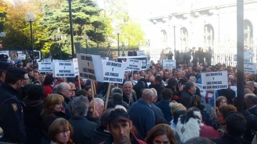 Masiva protesta de ganaderos con sus reses ante la sede de la Presidencia del Principado
