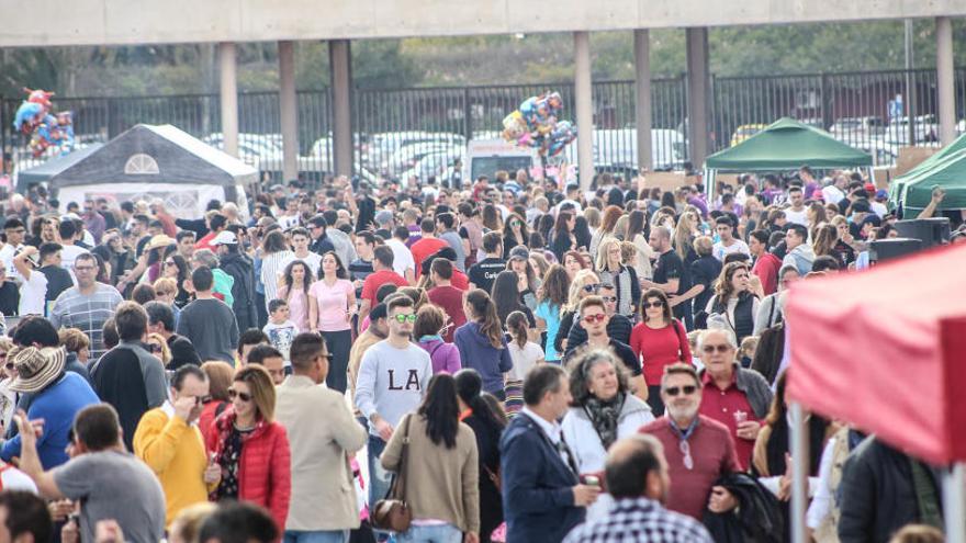 &quot;Cuantas más charangas en el concurso de paellas, mejor&quot;, asegura el concejal Domingo Pérez