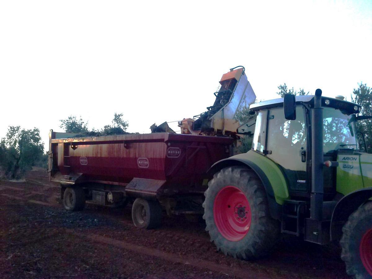 Un tractor en labores de vendimia.