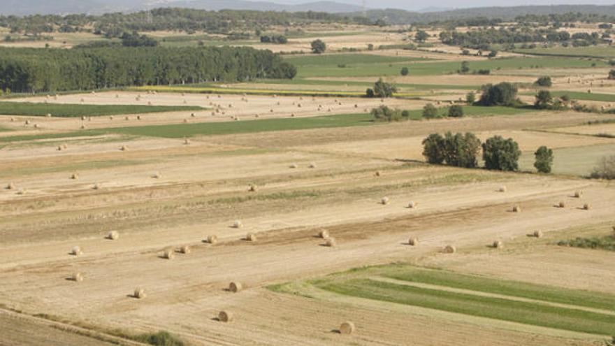 Una explotació agrícola a les comarques gironines