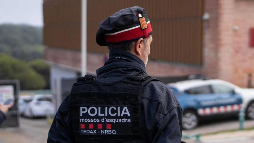 La investigació de la pesta porcina reobre la hipòtesi de l’entrepà