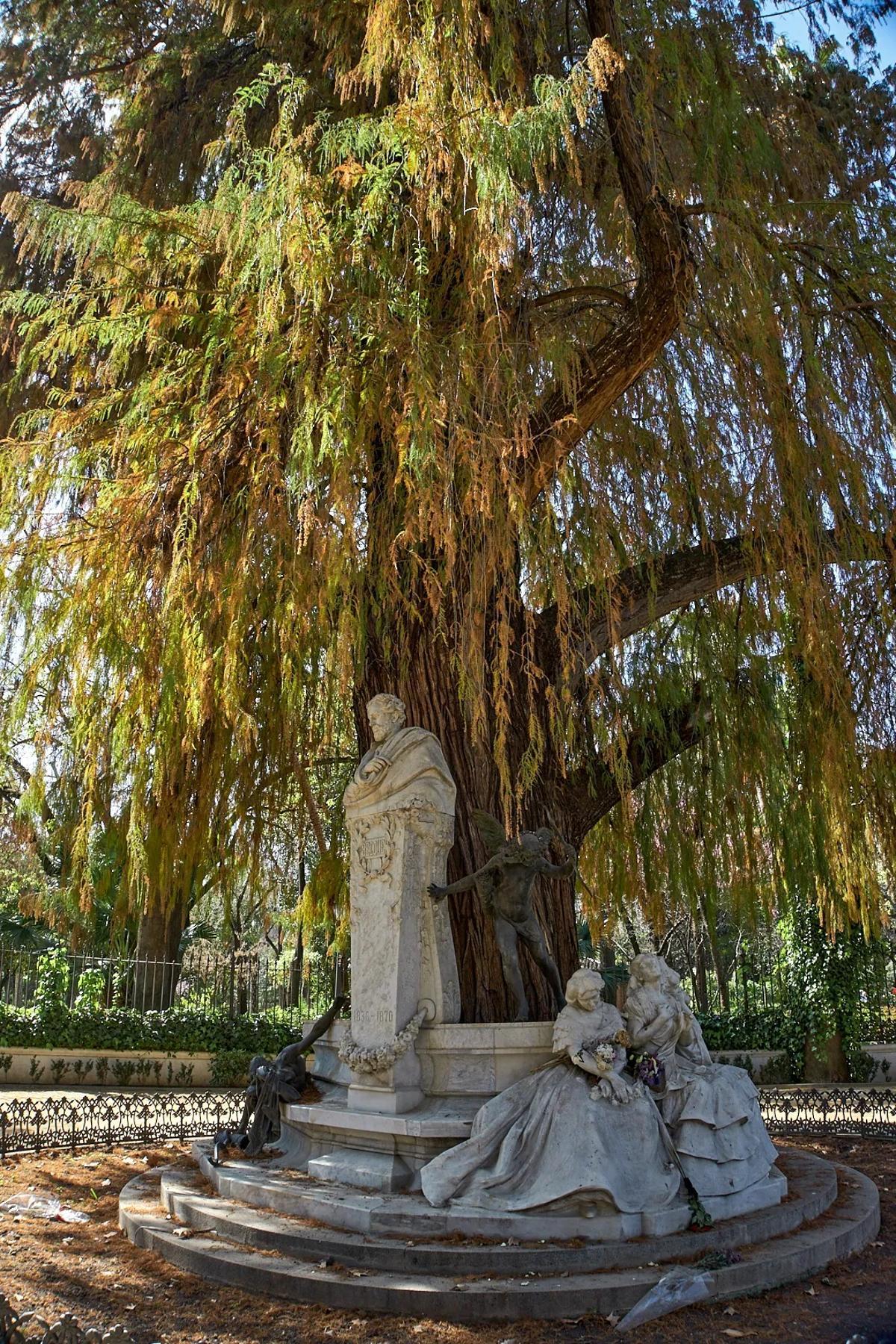 Cypress trees at the Becker roundabout in Seville, level II