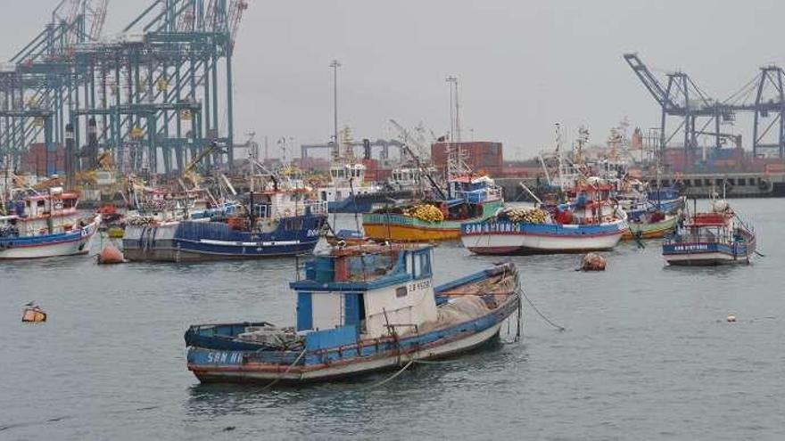 Barcos de pesca artesanal en el puerto de San Antonio, Chile. // Pixabay