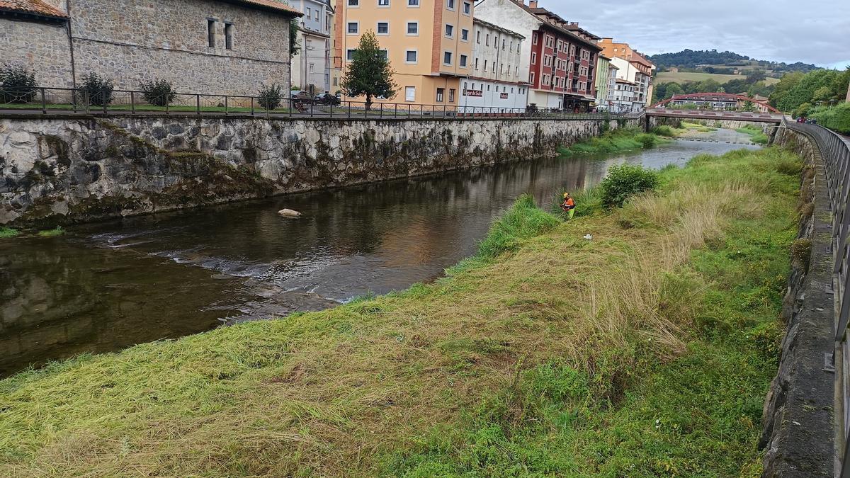 El Güeña, a su paso por Cangas de Onís.