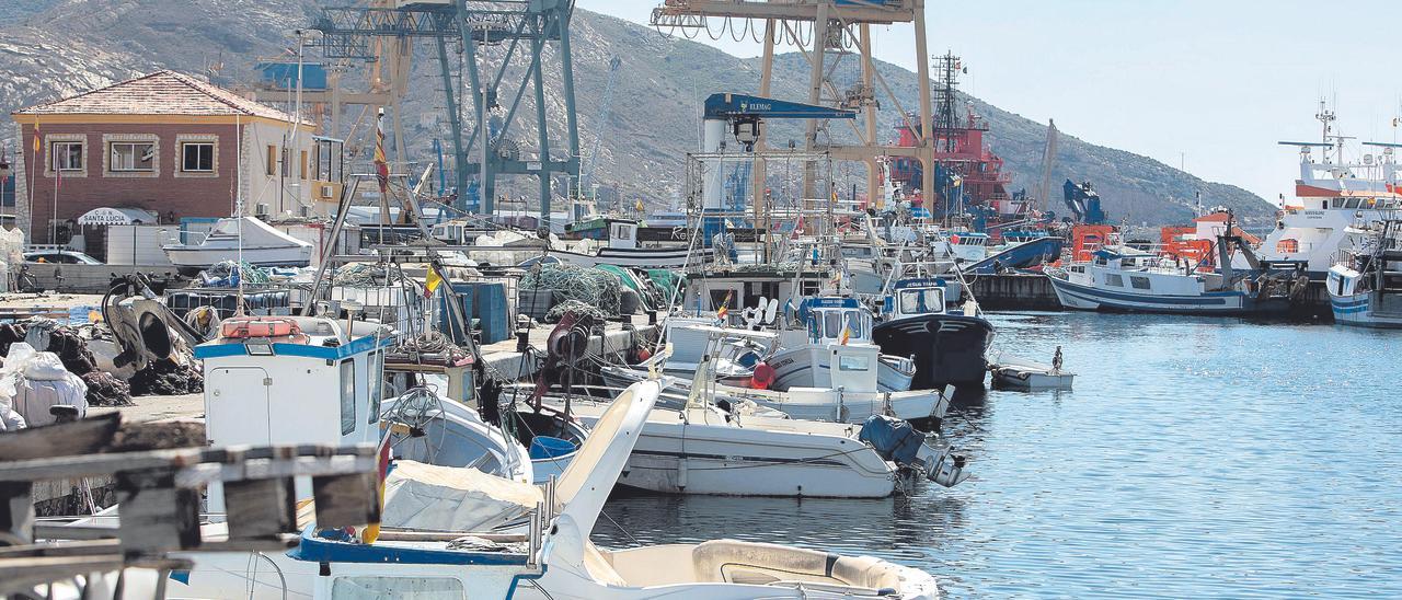 Embarcaciones de pesca amarradas en el puerto de Cartagena, ayer.