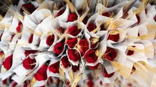 Las rosas serán un 2% más caras este Sant Jordi por la subida del precio del queroseno