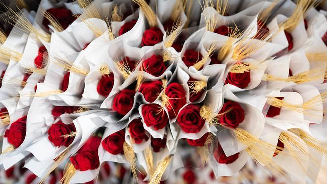 Mercabarna-flor se prepara para un Sant Jordi en el que se venderán 7 millones de rosas