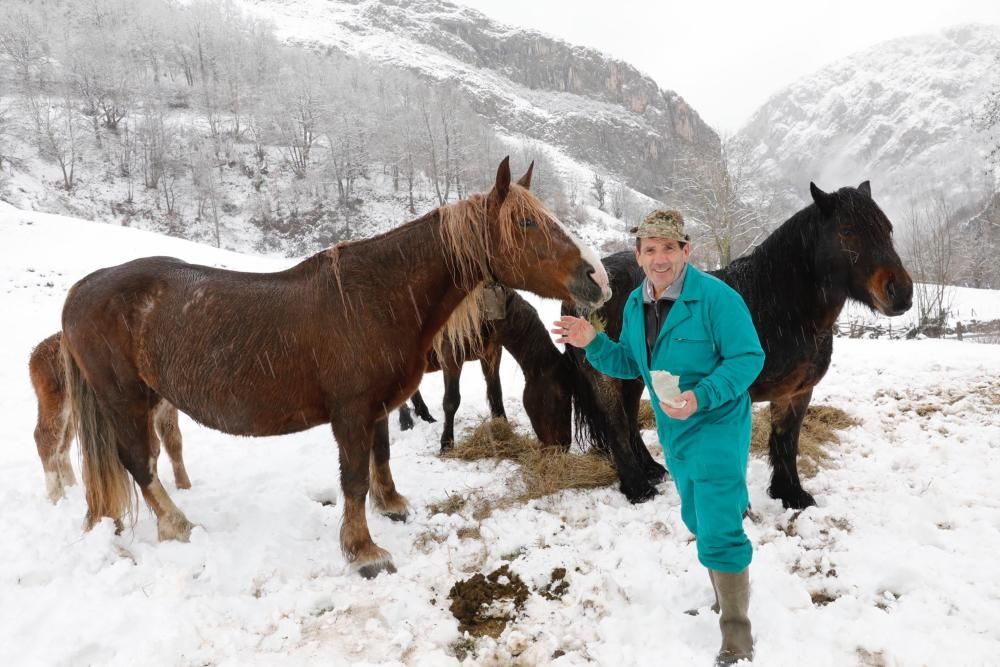 Temporal de nieve en Viego (Ponga)