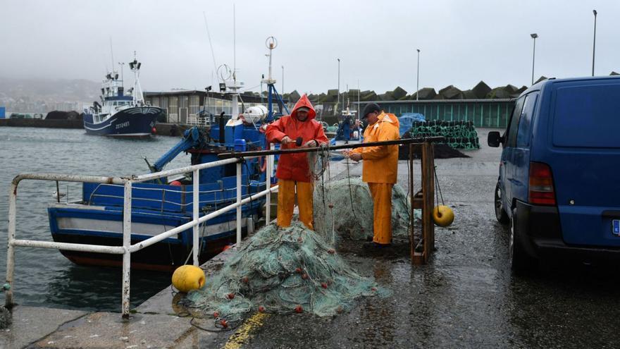 Europa invirtió 12,5 millones en diez años para frenar la pesca accidental de la flota