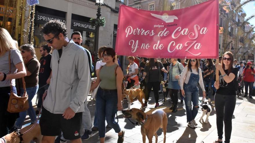 Imagen de la protesta de Galgos en familia por la calle Larios.