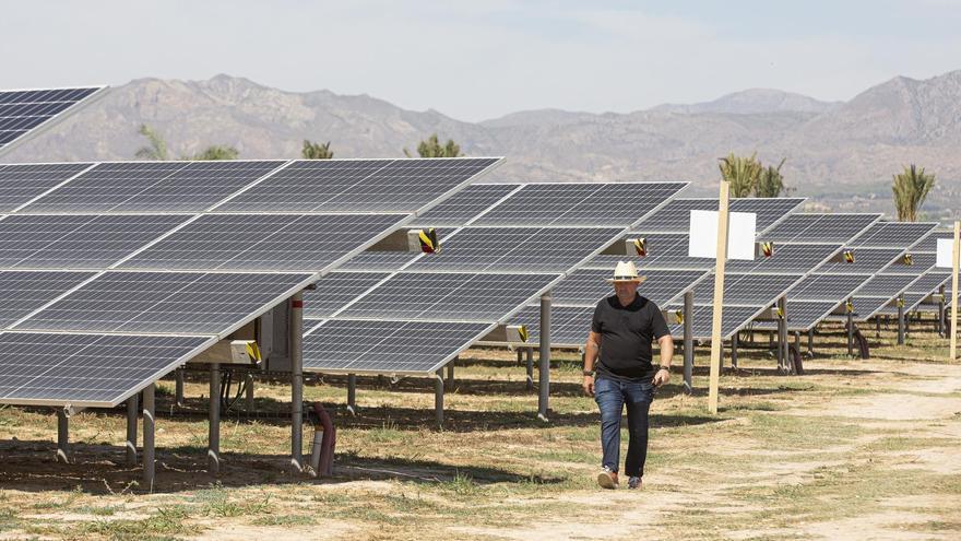 El tendido eléctrico de la planta solar de 6,7 hectáreas de Albatera será subterráneo