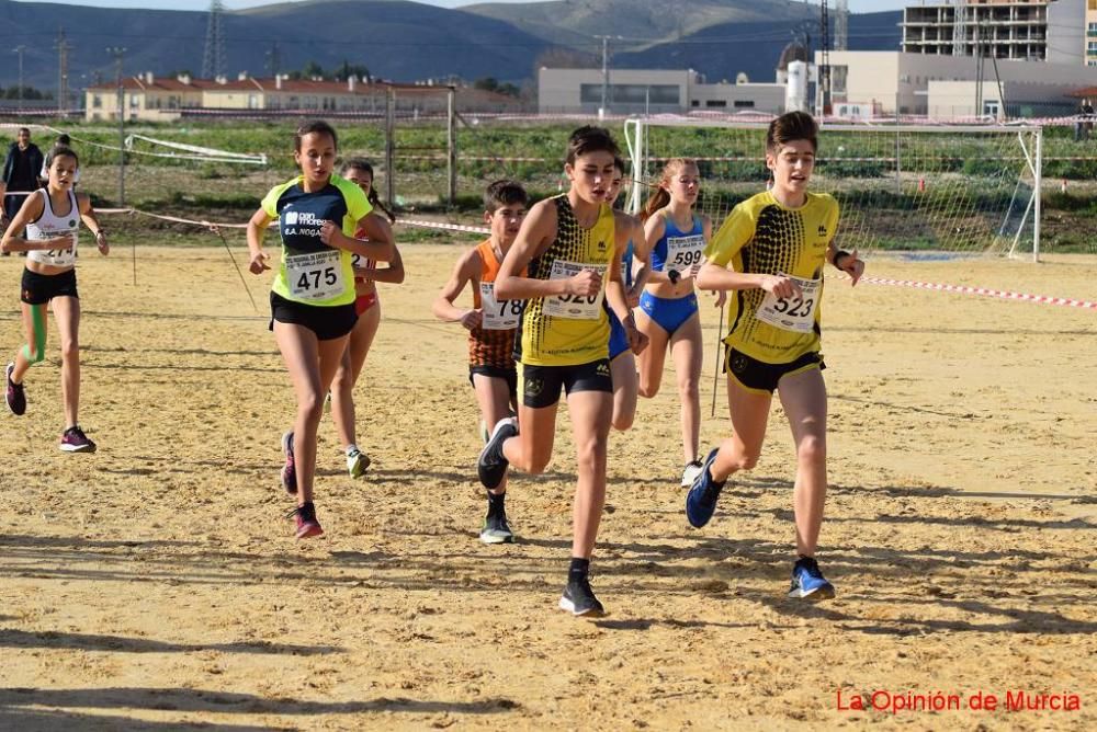 Cross de Jumilla 2