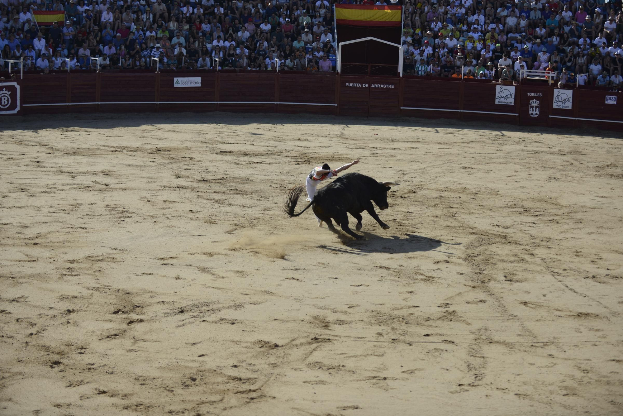 GALERÍA | Unos cuantos cortes de los arriesgados en Benavente