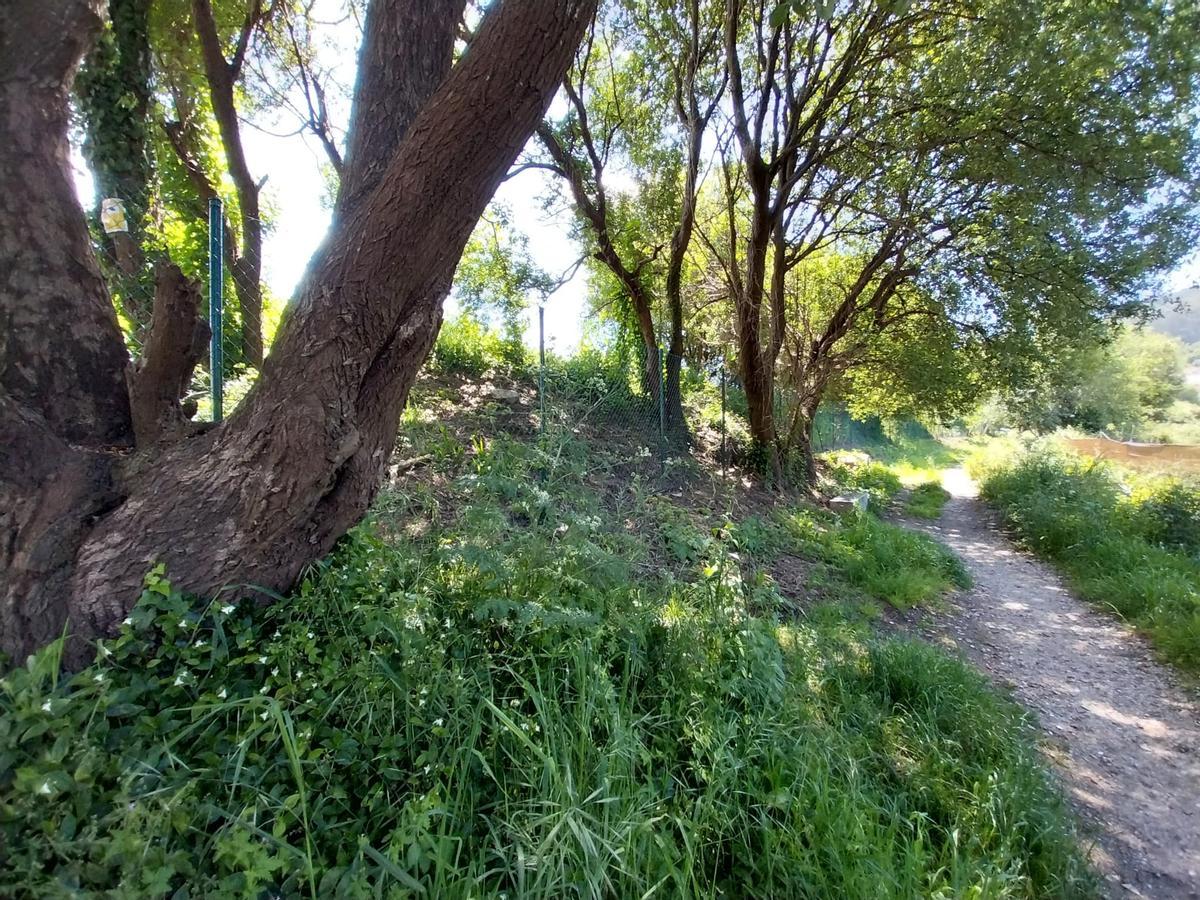 El vallado de la finca de A Estacada en el costado de la senda fluvial del río Bispo.