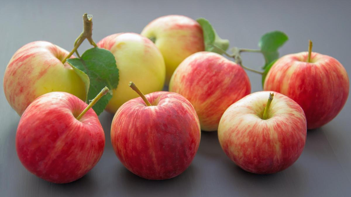 Las manzanas son muy ricas en fibra y saciantes.