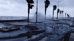 Afectación del temporal de mar de la pasada DANA en las Terres de lEbre.
