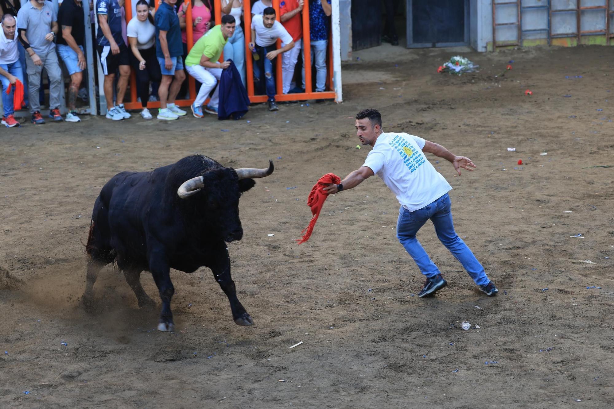 Las imágenes del primer encierro y de las exhibiciones taurinas de las fiestas de Almassora
